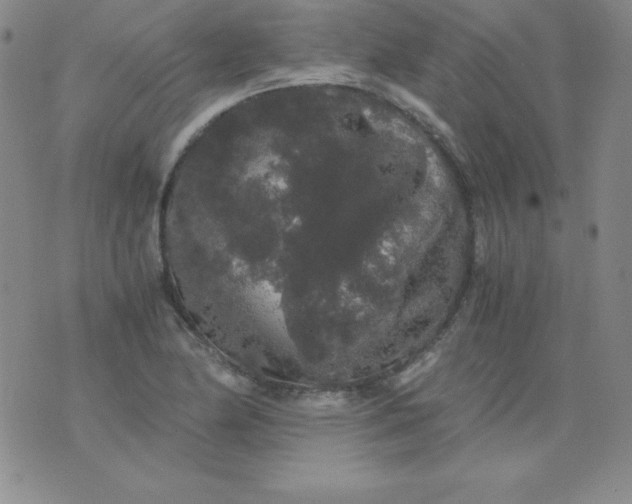 X0000076271174200610122248