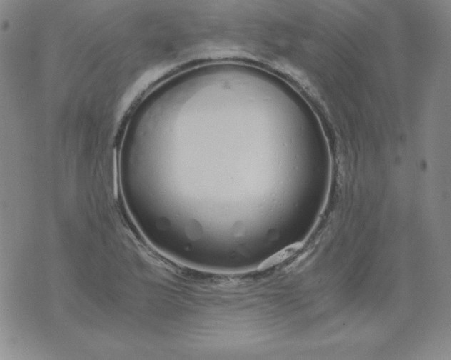 X0000076271175200610122248