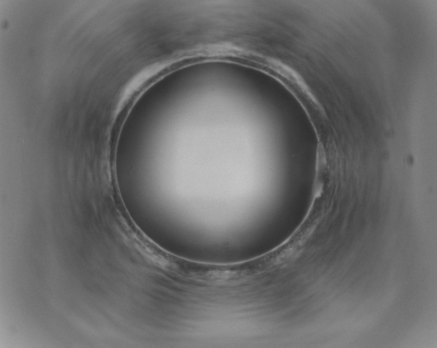 X0000076271176200610122248