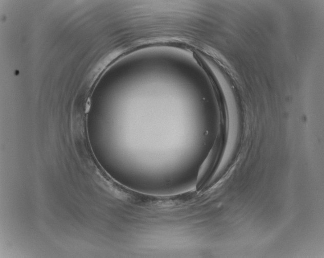 X0000076271177200610122248