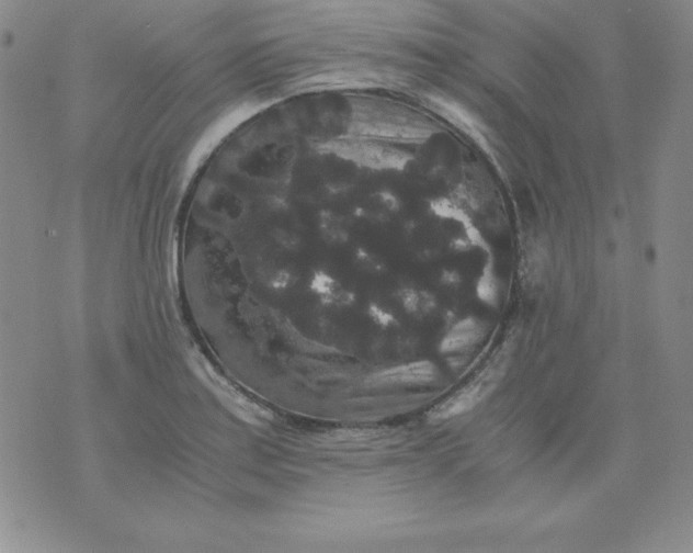 X0000076271179200610122248