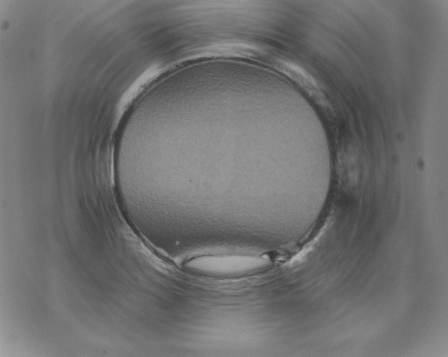 X0000076271180200610122247