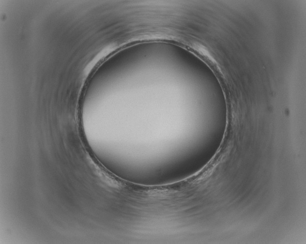 X0000076271181200610122247