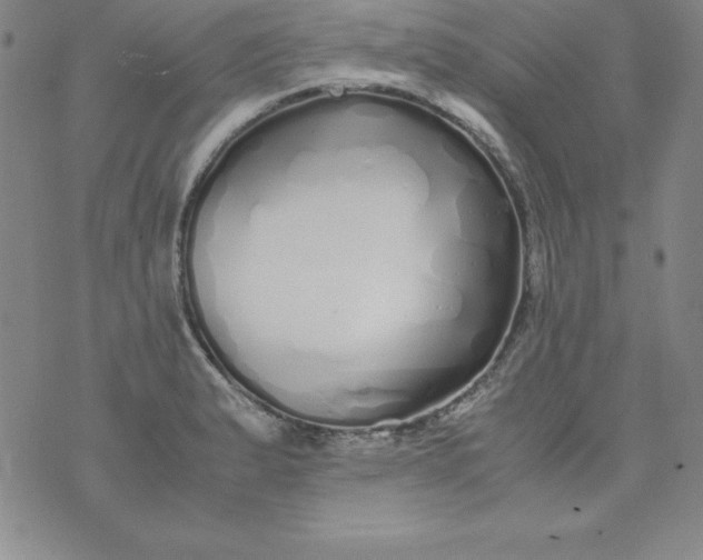 X0000076271183200610122247