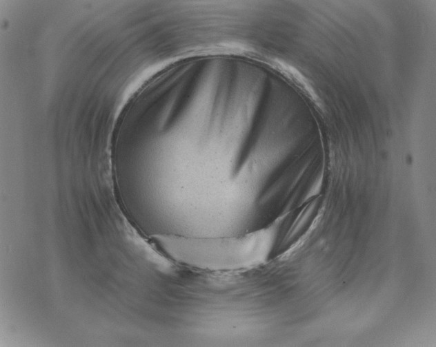 X0000076271184200610122247