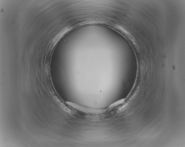 X0000076271185200610122247