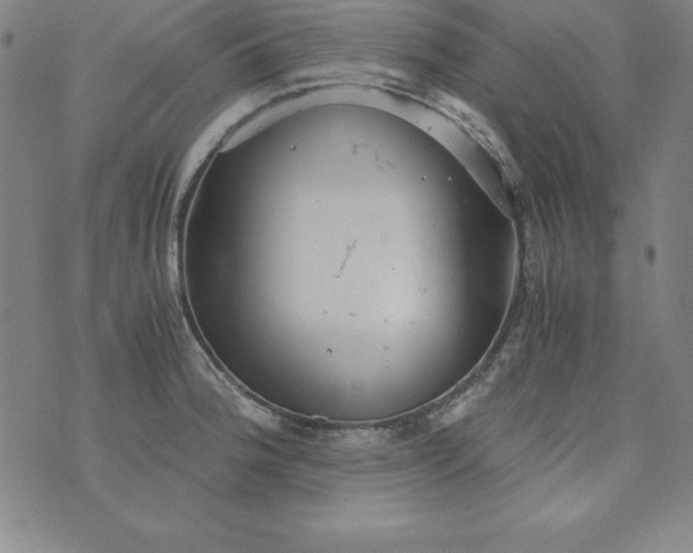 X0000076271188200610122247