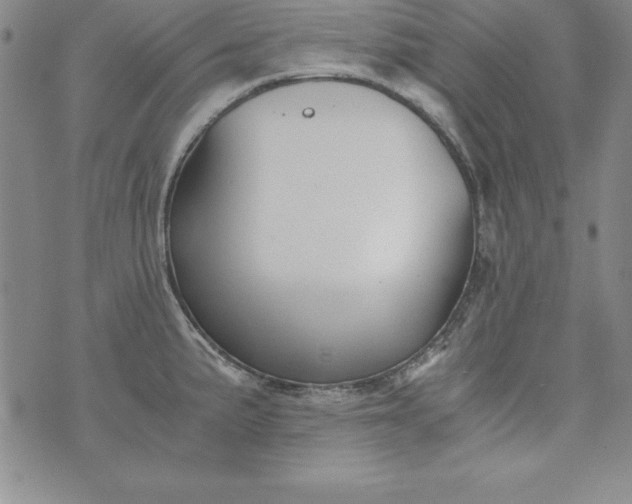 X0000076271191200610122247