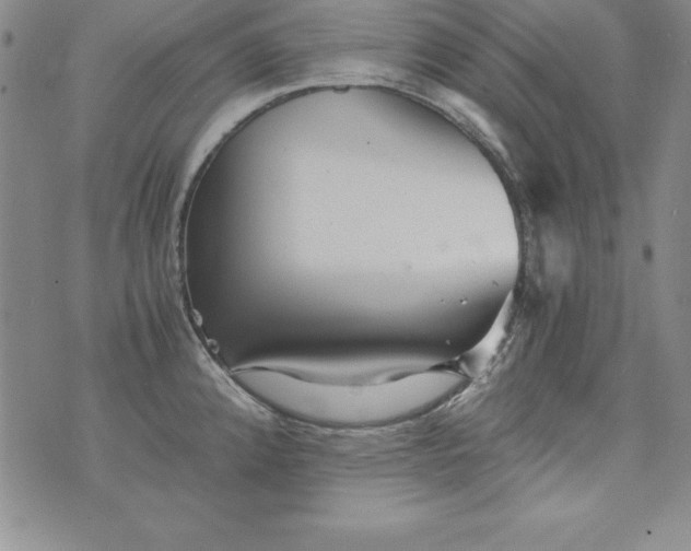 X0000076271192200610122247