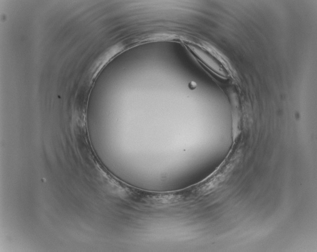 X0000076271193200610122247