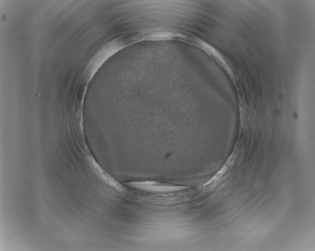 X0000076271194200610122247