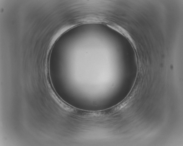 X0000076271195200610122247