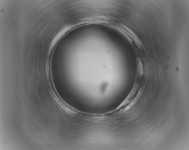 X0000076271196200610122247