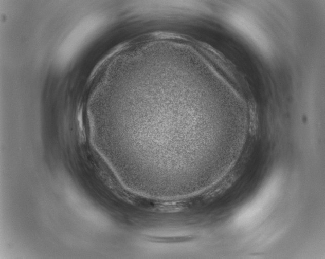 X0000076271198200610122247