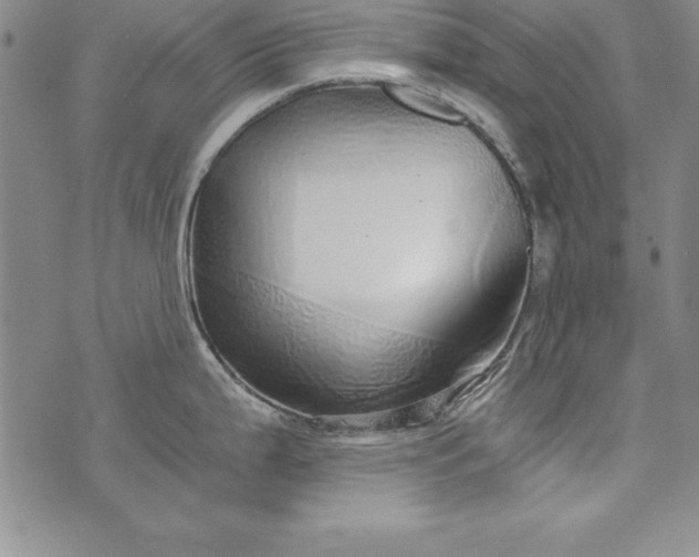 X0000076271199200610122247