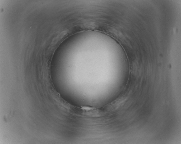 X0000076271201200610122246