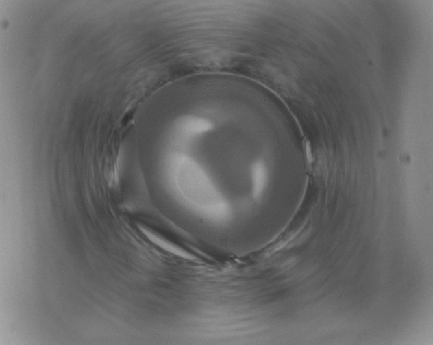 X0000076271202200610122246