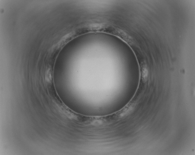 X0000076271204200610122246