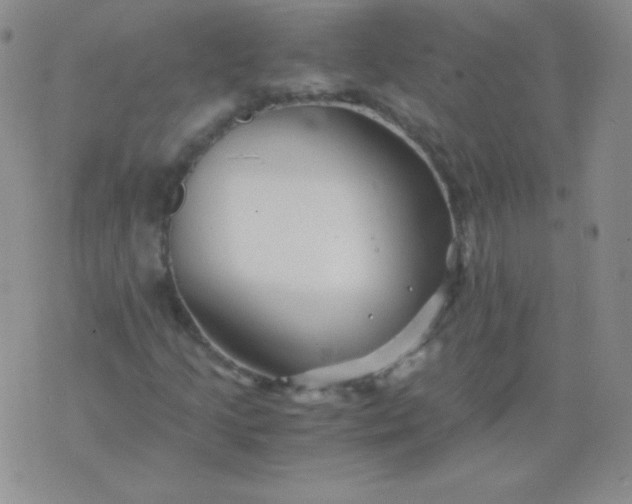 X0000076271205200610122246