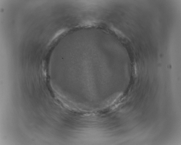 X0000076271206200610122246