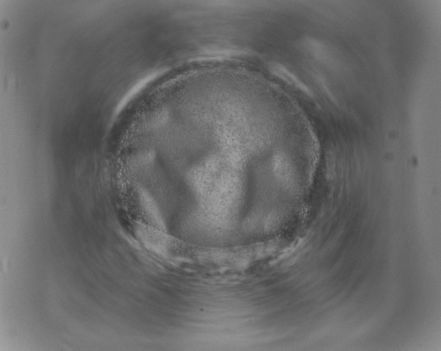 X0000076271208200610122246