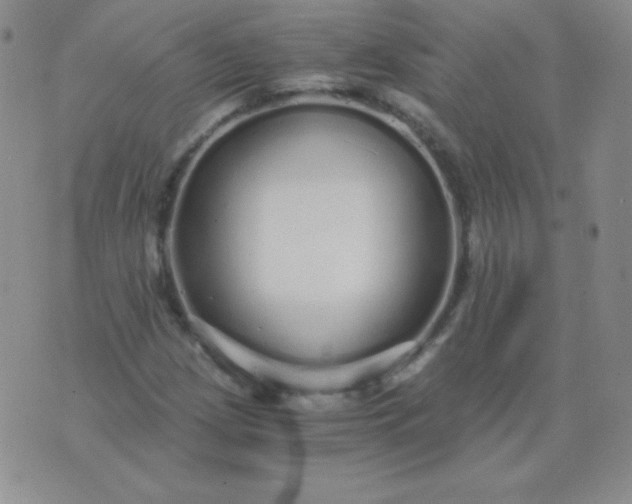 X0000076271209200610122246