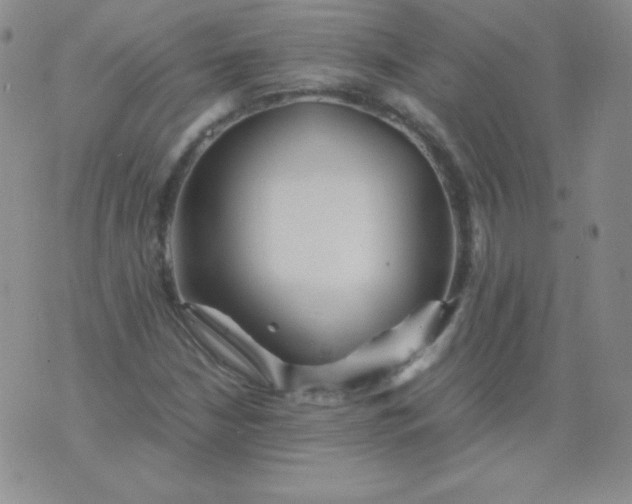 X0000076271210200610122247