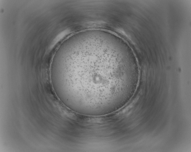 X0000076271211200610122247