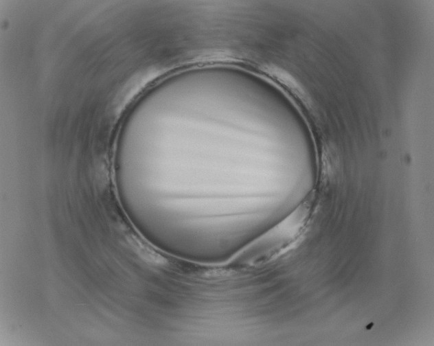 X0000076271212200610122247