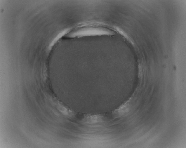 X0000076271213200610122247