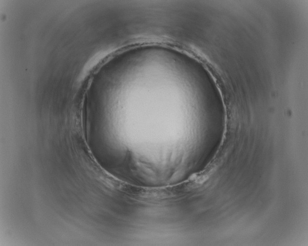 X0000076271215200610122247