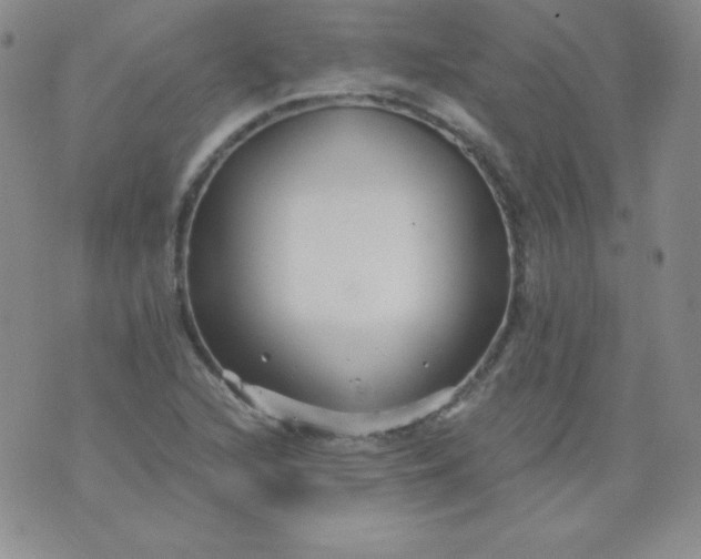 X0000076271216200610122247