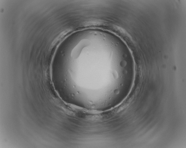 X0000076271217200610122247