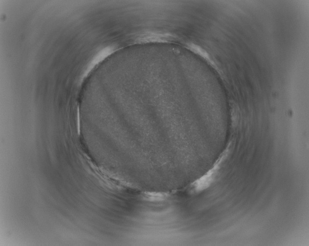 X0000076271219200610122247