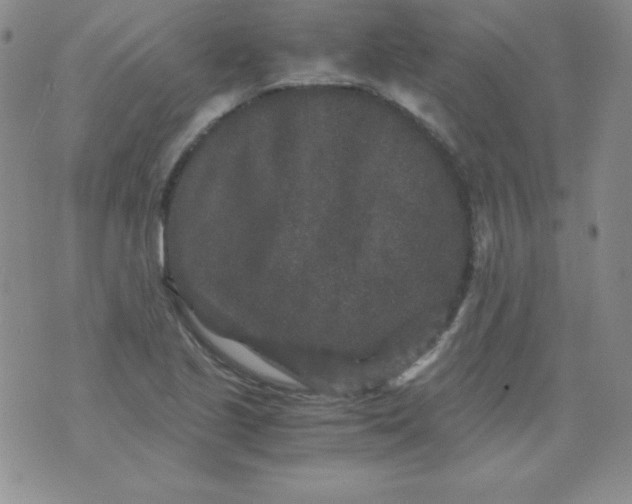 X0000076271221200610122247