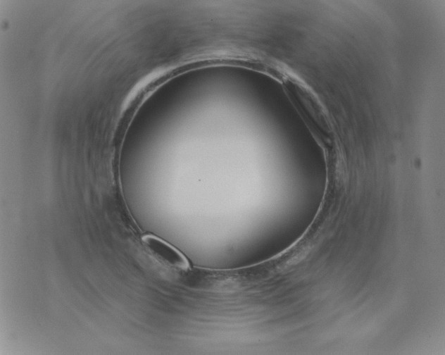 X0000076271222200610122247