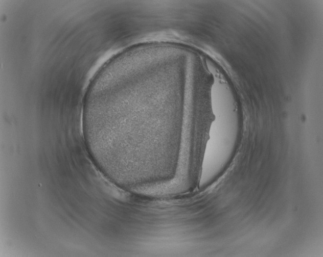 X0000076271224200610122247