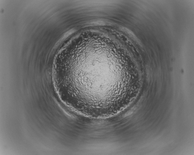 X0000076271225200610122247