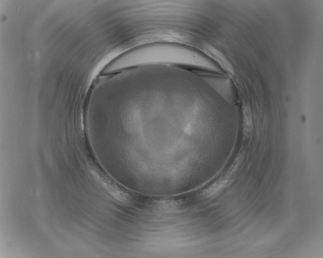 X0000076271226200610122247