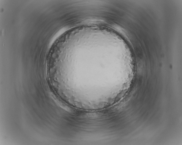 X0000076271227200610122247