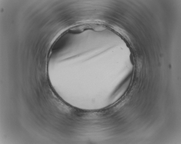 X0000076271228200610122247