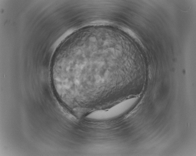 X0000076271229200610122247