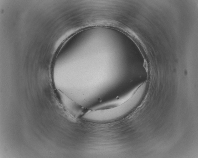 X0000076271230200610122247