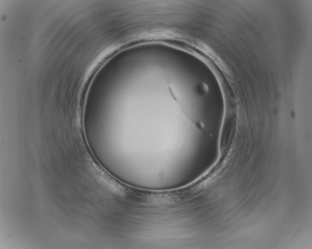 X0000076271232200610122247