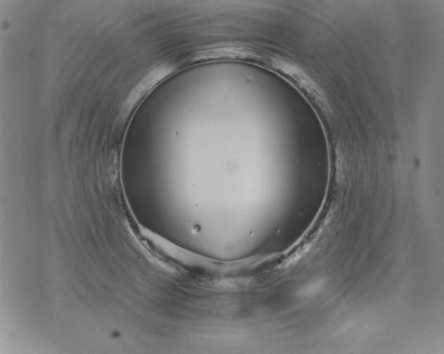 X0000076271233200610122247