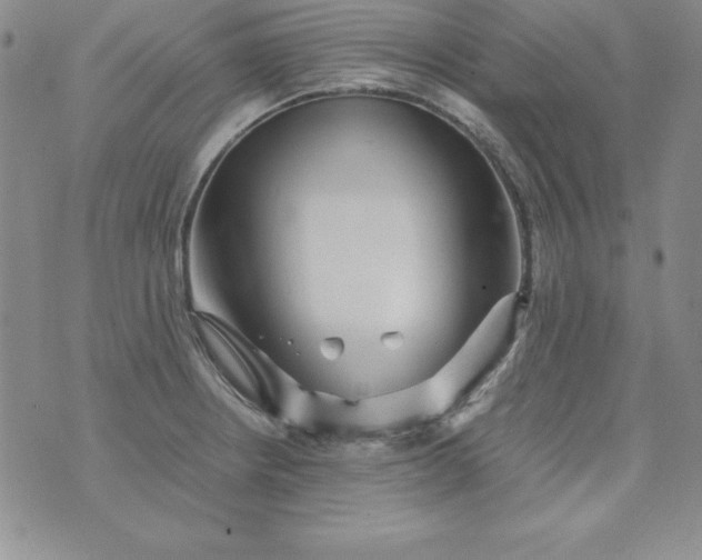 X0000076271234200610122247