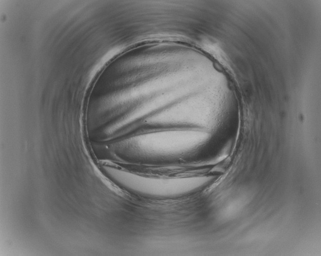 X0000076271237200610122247