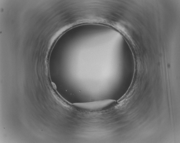 X0000076271238200610122247