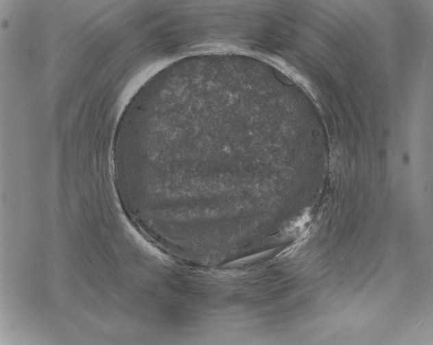 X0000076271239200610122247