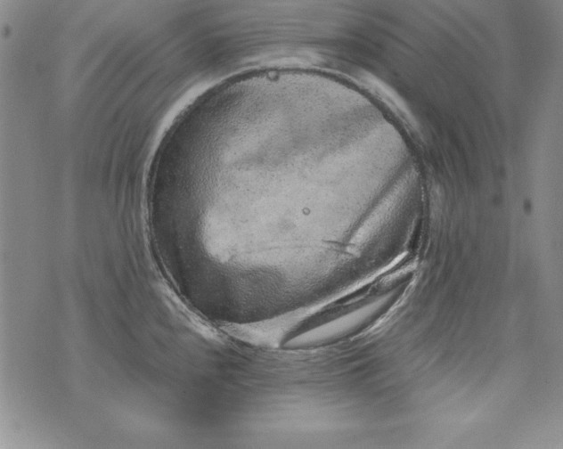 X0000076271240200610122247